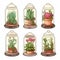 Set_of_home_Succulents_and_houseplants1_1