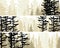 Set of horizontal banners view from coniferous forest.