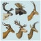 Set of Horn, antlers Animals moose or elk with impala, gazelle and greater kudu, fallow deer reindeer and stag, doe or