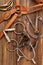 Set of horse equipment on wooden background