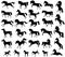 Set with horse silhouettes. Vector illustration. Horses for logos. Vector isolated illustration