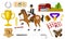 Set of Horseback riding. Racing icons for Activity Jockey club. Set of Equipments for Equestrian Sport poster