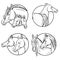 Set horses in the circle coloring page.