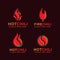 Set of hot flaming chili logo icon vector