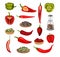 Set of hot and sweet pepper. Green and red jalapeno, chili, paprika peppers and seeds. Fresh and dried spicy vegetables