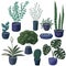 Set of houseplants in flowerpots. Handdrawn cute indoor decorative plants in blue and green colors isolated on white