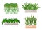 Set of houseplants - nephrolepis, fern, succulent, sansevieria, chlorophytum, hanging plant. Vector illustration