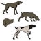 Set of hunting dogs illustrations