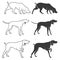 Set of hunting dogs illustrations.