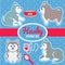 Set of husky breed puppies and dog care accessories stickers