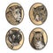 Set of icons. African mammals predators lion, tiger, leopard and pet cat