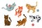 Set of icons with cats. Flat design vector. Variety breeds cats in different poses sitting, standing, stretching