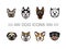 Set icons dogs