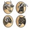 Set of icons. Farm animals cow, ram, goat, and donkey