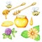 A set of icons from the honey collection, hand-drawn, isolated