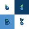 Set of icons or logo templates of letter b and blue berry