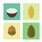 Set of icons nuts. elements for design