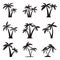 set of the icons of palm trees illustration isolated on white background. Design elements for logo, label, emblem, sign