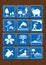 Set icons of protected area, mining, flower, dolphin, geology, orchid, mangrove, waterfall, turtle, seabirds, navigable river.