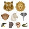 A set of icons of wild animals