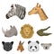 A set of icons of wild animals. Predatory and peaceful wild animals.Realistic animal icon in set collection on cartoon