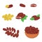 Set of Illustration Kurma arab date fruits ramadan iftar vector compilation