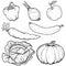 Set illustration of vegetables collection in line art