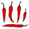 Set of illustrations of chilli peppers in engraving style. Design element for emblem, sign, poster, card, banner, flyer.