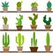 Set of illustrations of cute cactus