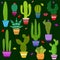 Set of illustrations of cute cactus