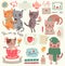 A set of illustrations with cute cats