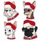 Set of illustrations with cute dogs in Christmas hats. Isolated vector colored objects.