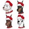 Set of illustrations with cute dogs in Christmas hats. Isolated vector colored objects.