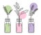 A set of illustrations with flowers and plants. Branches with leaves in jars, vases. Logo of cosmetics.