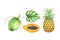 Set of illustrations of green coconut, pineapple, papaya and leaf.