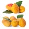 Set of images of apricot on a white background. Full depth of field
