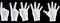 A set of images of a human hand, a hand in a white glove isolated on a black background, showing fingers from one to five. Human