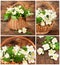 Set of images with jasmine in wicker basket