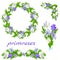 Set of images from primroses: wreath, garland, bouquet