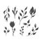 Set imprint leaf twig branch graphics hand-drawing. Imprint, stamp, isolated, on a white background.