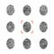 Set of individual fingerprints for personal identification. Vector illustrations