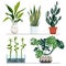 Set of indoor plants in pots. Vector hand drawn illustration. Modern and elegant home decor