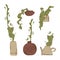 A set of indoor stylized plants in flat clay and ceramic vases