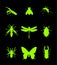 Set of insect vector silhouette illustration isolated on black. Praying mantis. Housefly. Mosquito. Wasp axis or honey bee symbol.