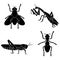 A set of insects consists of an ant, a fly, a mantis and a locus