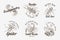 Set of insects logos. Vintage Pets labels for bar or tattoo studio. Bugs Beetles Scorpion Spider Ant Mantis Bee