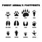 Set isolated black silhouettes of forest animals footprints on white background in flat vector style.