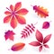 Set of isolated bright pink autumn fallen leaves. Elements of fall foliage. Vector