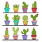Set of isolated cactus in pots on shelf