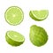 Set of isolated colored green bergamot, kaffir lime, half, slice, circle and whole juicy fruit on white background. Realistic citr